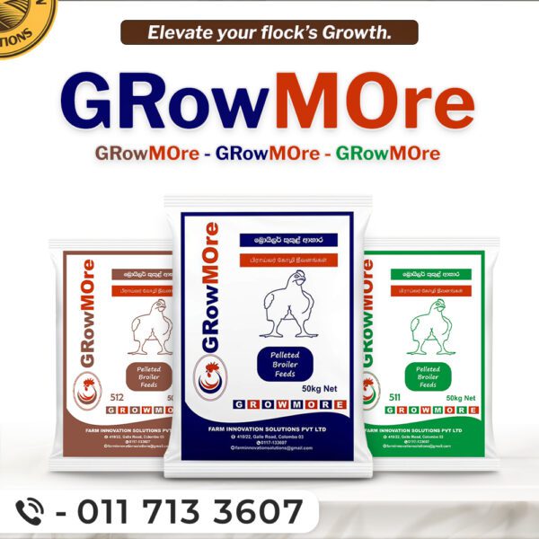 GRowMOre බ්‍රොයිලර් කුකුළු ආහාර